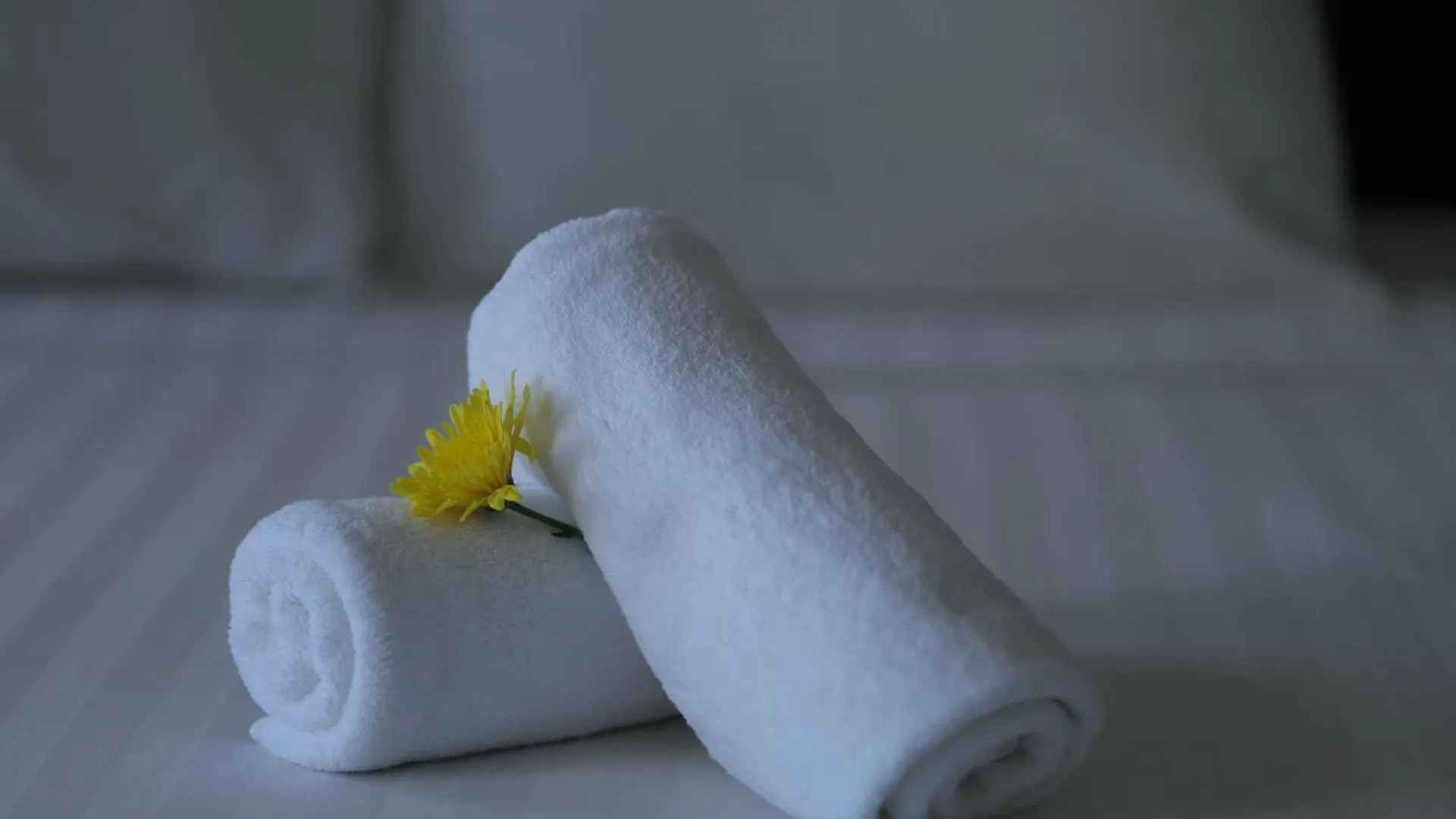 Blue River Boutique Hoi An Hotel